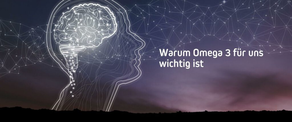 Warum Omega 3 wichtig ist