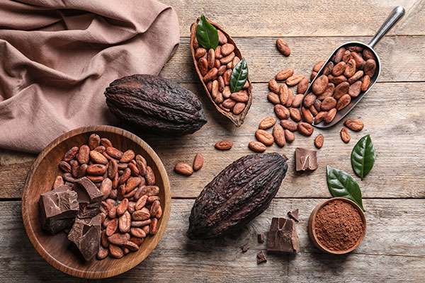 Gezeigt werden auf dem Bild Kakaopflanzen und -bohnen.