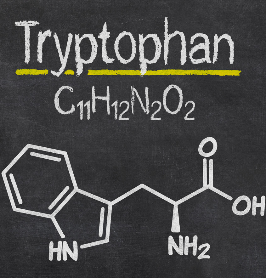 Die chemische Verbindung von L-Tryptophan ist auf einer Schiefertafel niedergeschrieben