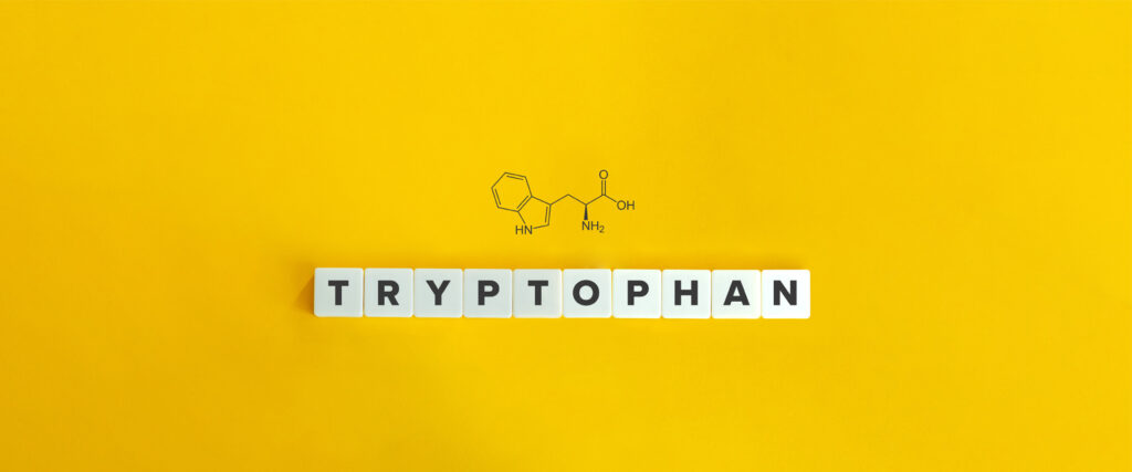Auf gelbem Hintergrund wird die chemische Verbindung von L-Tryptophan gezeigt. Zudem wird das Wort L-Tryptophan mit Buchstaben-Steinen gelegt