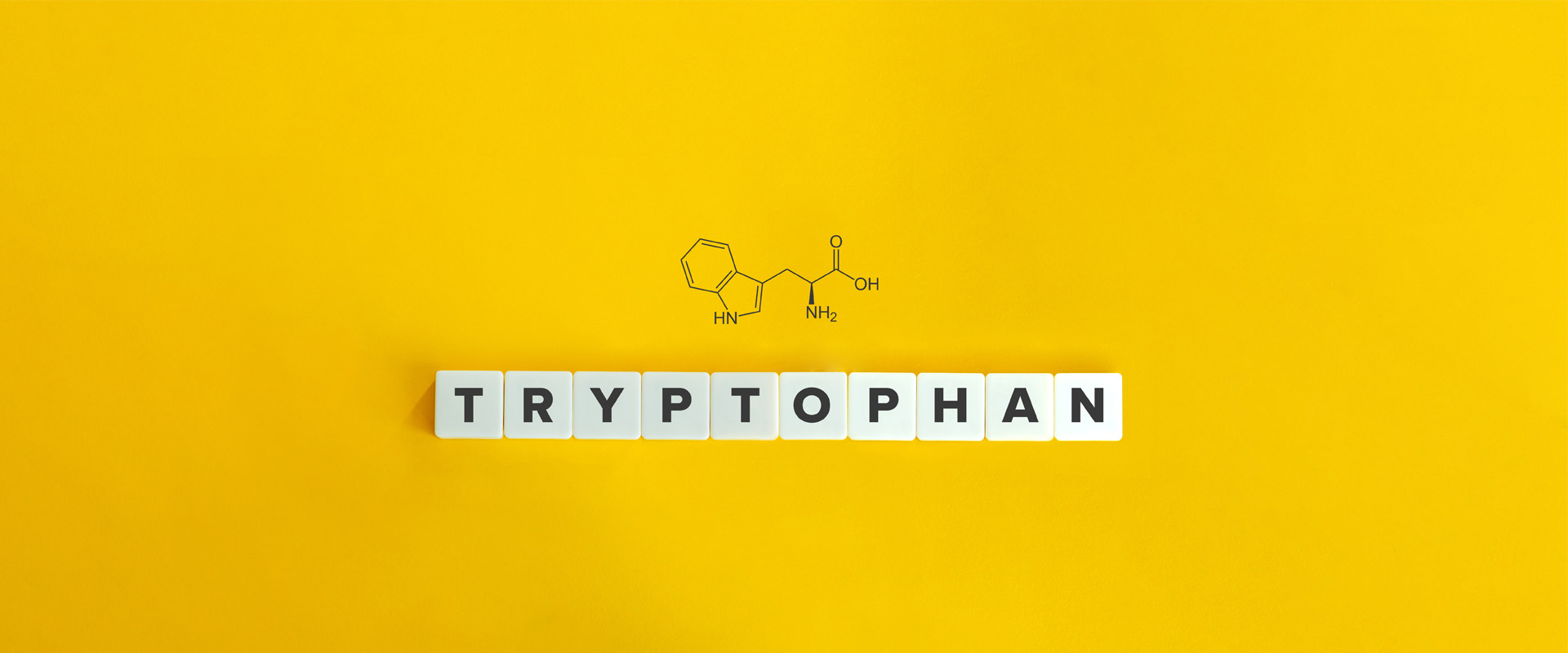 Auf gelbem Hintergrund wird die chemische Verbindung von L-Tryptophan gezeigt. Zudem wird das Wort L-Tryptophan mit Buchstaben-Steinen gelegt
