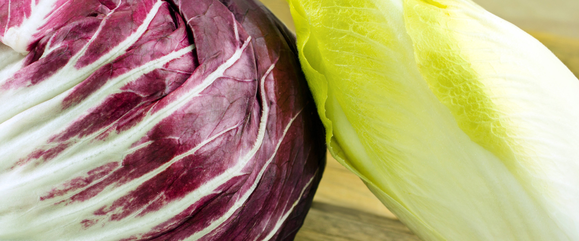 Ein roter und ein grüner Chicoree mit vielen gesunden Bitterstoffen