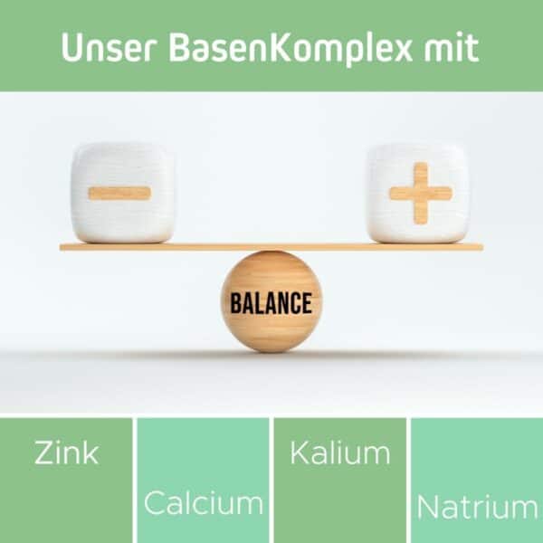 Das BIld zeigt eine Auswahl an Inhaltsstoffen von BasenKomplex