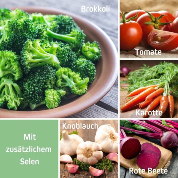 Das Bild zeigt einige der natürlichen Inhaltstoffe von GemüseMix