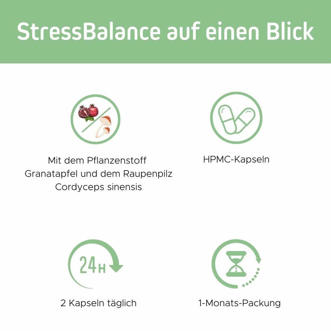 Das Bild zeigt die Vorteile von StressBalance auf einen Blick