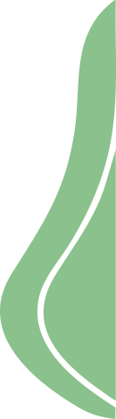 Blog Design